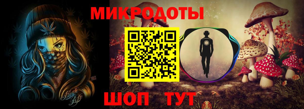 Курчалой  Псилоцибиновые грибы мухоморы  Вход с VPN 