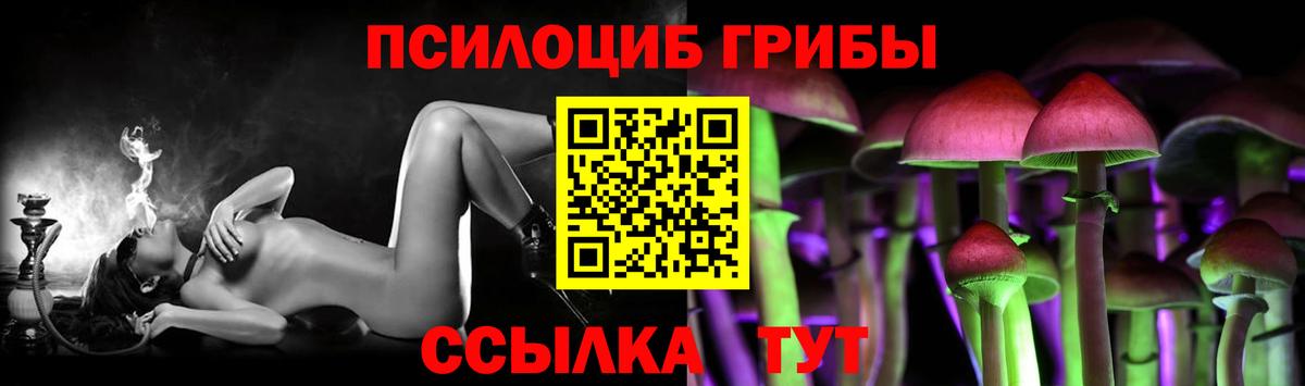 Галлюциногенные грибы Magic Shrooms Курчалой